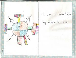 The Exciting Story of a Snowflake by Billy Crittenden
