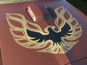 1978 Pontiac Trans Am