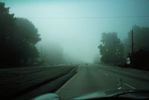 Early morning radiation fog
