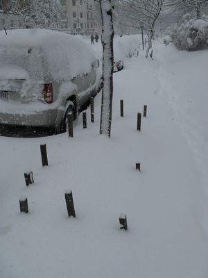Snow-Covered Cars