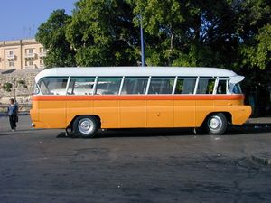 Bus