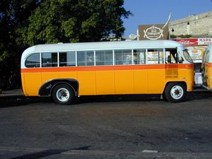 Bus