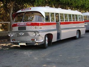 Bus