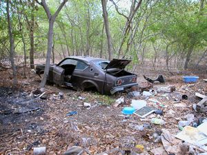 Abandoned Sports Car
