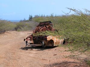Rusted Hatchback