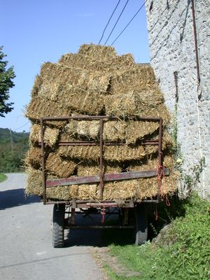 Hay Trailer