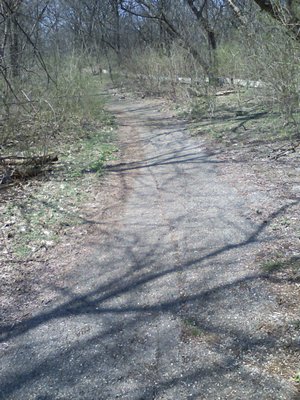 Meadowdale International Raceway - Raceway Woods