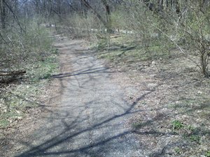 Meadowdale International Raceway - Raceway Woods