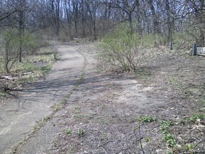 Meadowdale International Raceway - Raceway Woods