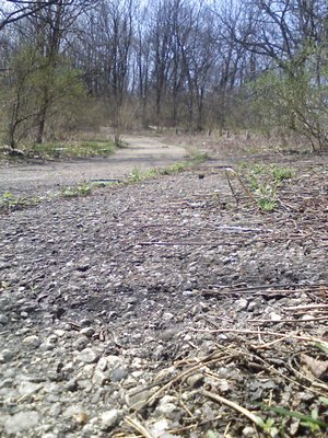 Meadowdale International Raceway - Raceway Woods