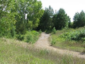 Meadowdale International Raceway - Raceway Woods