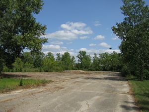 Meadowdale International Raceway - Raceway Woods