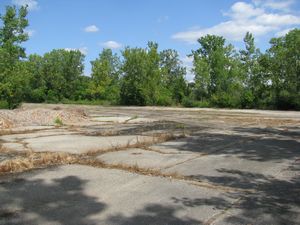 Meadowdale International Raceway - Raceway Woods