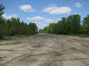 Meadowdale International Raceway - Raceway Woods