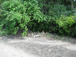 Meadowdale International Raceway - Raceway Woods