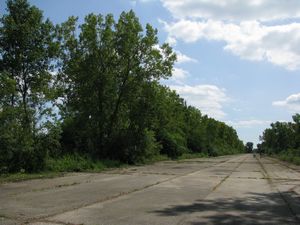 Meadowdale International Raceway - Raceway Woods