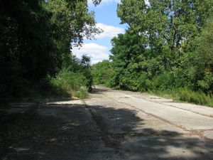 Meadowdale International Raceway - Raceway Woods
