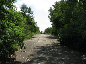 Meadowdale International Raceway - Raceway Woods