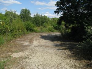 Meadowdale International Raceway - Raceway Woods