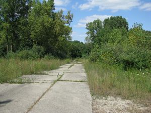 Meadowdale International Raceway - Raceway Woods
