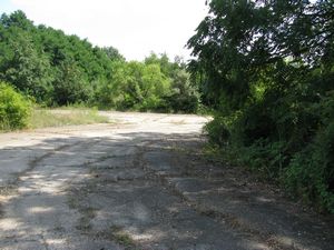Meadowdale International Raceway - Raceway Woods