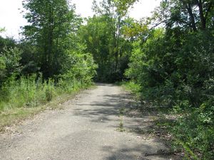 Meadowdale International Raceway - Raceway Woods