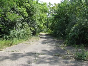 Meadowdale International Raceway - Raceway Woods