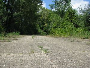 Meadowdale International Raceway - Raceway Woods
