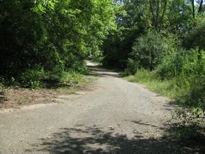 Meadowdale International Raceway - Raceway Woods