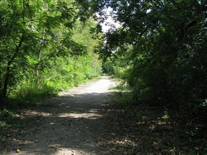 Meadowdale International Raceway - Raceway Woods