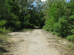 Meadowdale International Raceway - Raceway Woods