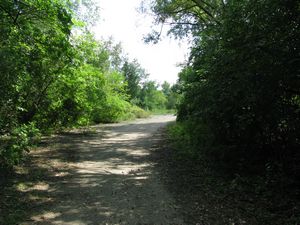 Meadowdale International Raceway - Raceway Woods