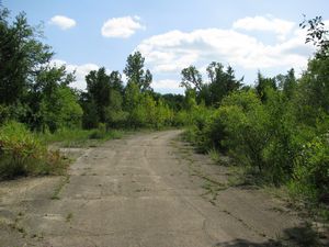 Meadowdale International Raceway - Raceway Woods