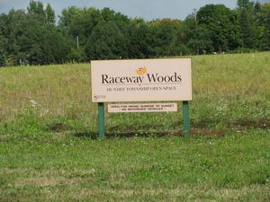 Meadowdale International Raceway - Raceway Woods