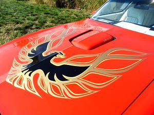 1977 Pontiac Trans Am