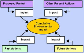 Cumulative Impacts Diagram showing the effects on the environment as a result of incremental action when added to other past, present, and reasonably foreseeable future actions, regardless of what agency or person undertakes such other actions.