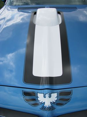 1970 Pontiac Trans Am Hood Stripe