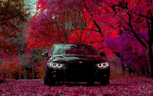 BMW 335i