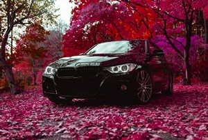 BMW 335i