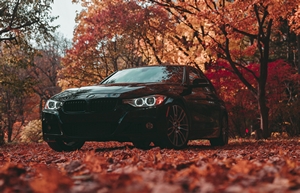 BMW 335i