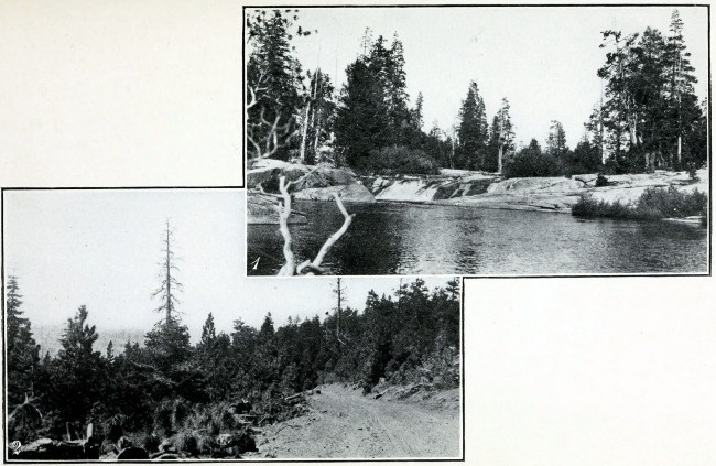 1. In the Lower Sierras, California. 2. Eastern Slope of Sierras.