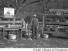 Highway Apple Stand