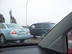 Dog in Drivers Seat