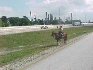 Horse Mounted Radar