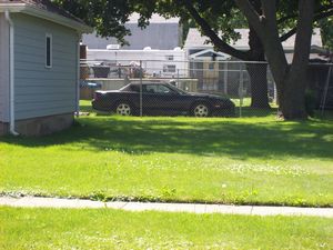 Camaro on Lawn