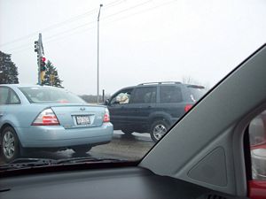 Dog in Car Window