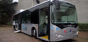 BYD Electric Bus