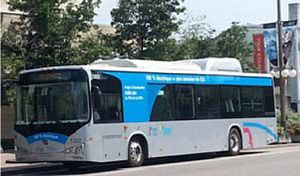 BYD Electric Bus