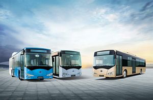 BYD Electric Buses