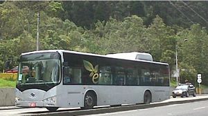 BYD Electric Buses